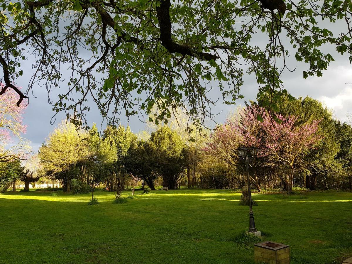 Chateau De Champblanc Cherves-de-Cognac Экстерьер фото